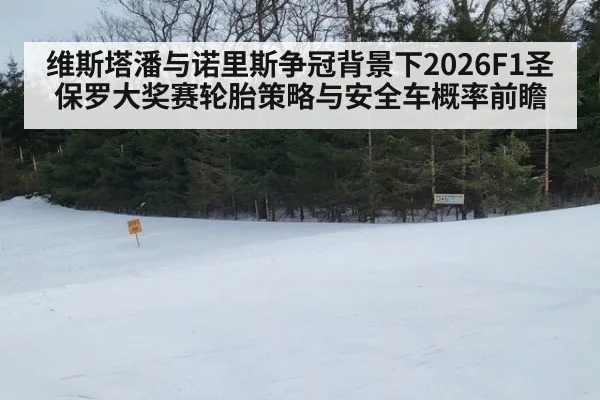 维斯塔潘与诺里斯争冠背景下2026F1圣保罗大奖赛轮胎策略与安全车概率前瞻